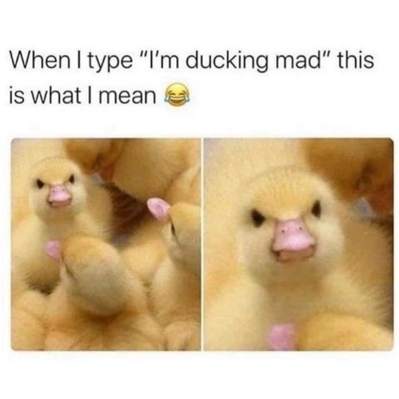 Meet your Posher, Mark - Picture 1 of 1